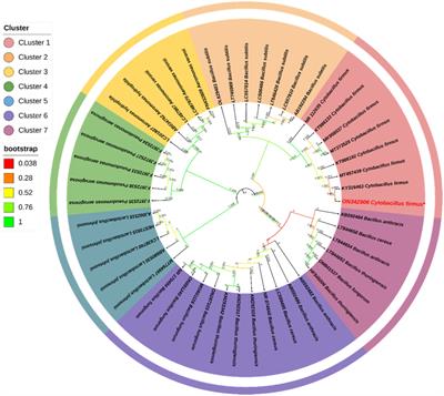 Biogenic synthesis of silver nanoparticle by Cytobacillus firmus isolated from the river sediment with potential antimicrobial properties against Edwardsiella tarda